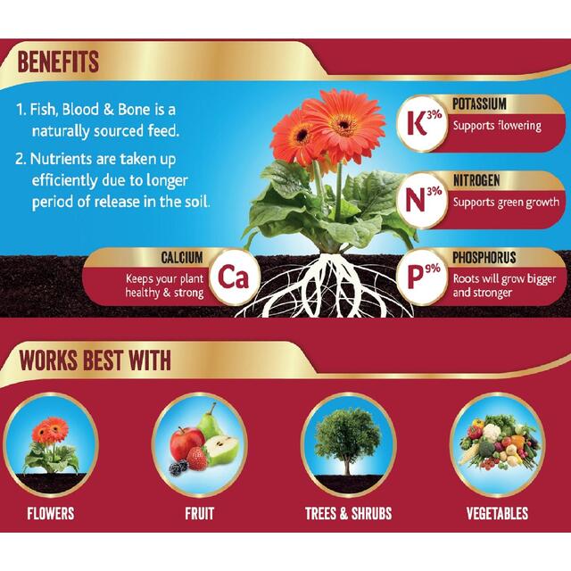 Westland Fish, Blood and Bone All Purpose Plant Food, 1.5 kg thumbnail 2