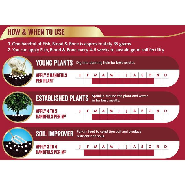 Westland Fish, Blood and Bone All Purpose Plant Food, 1.5 kg thumbnail 3