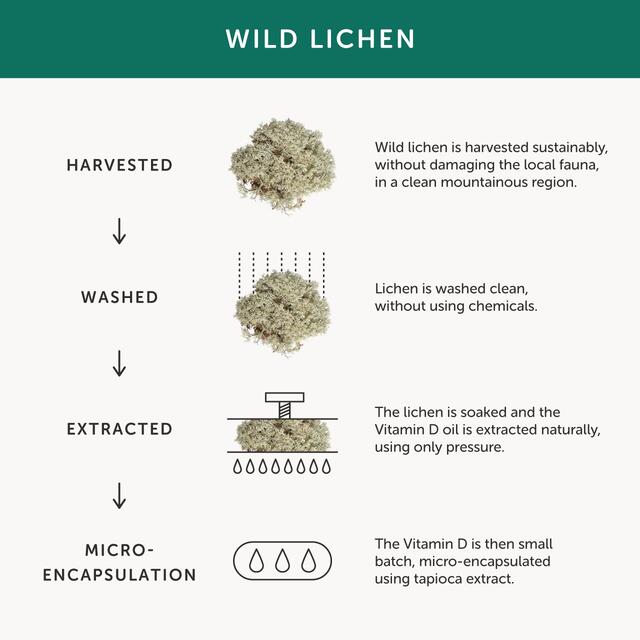 Together Health Mens Multi, Zinc, Selenium & B Vits thumbnail 9