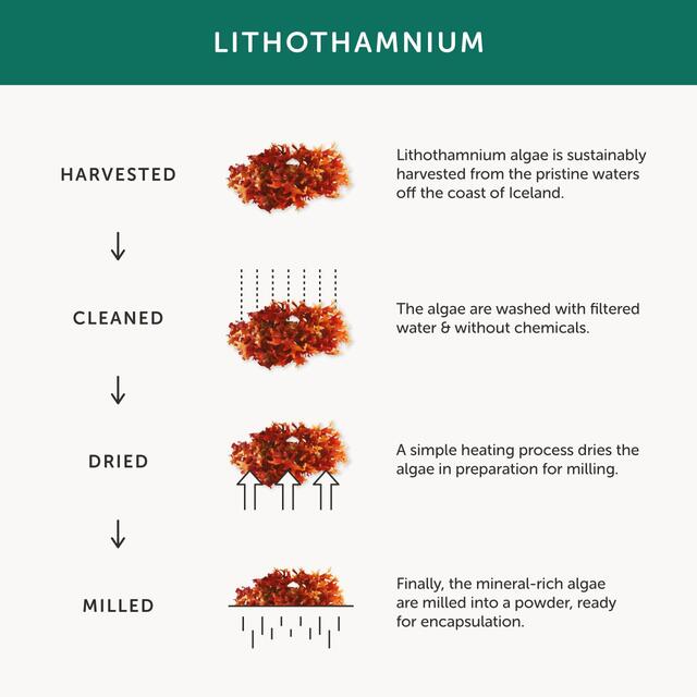 Together Health Night Time, Magnesium & Herbal Sleep Aid thumbnail 7