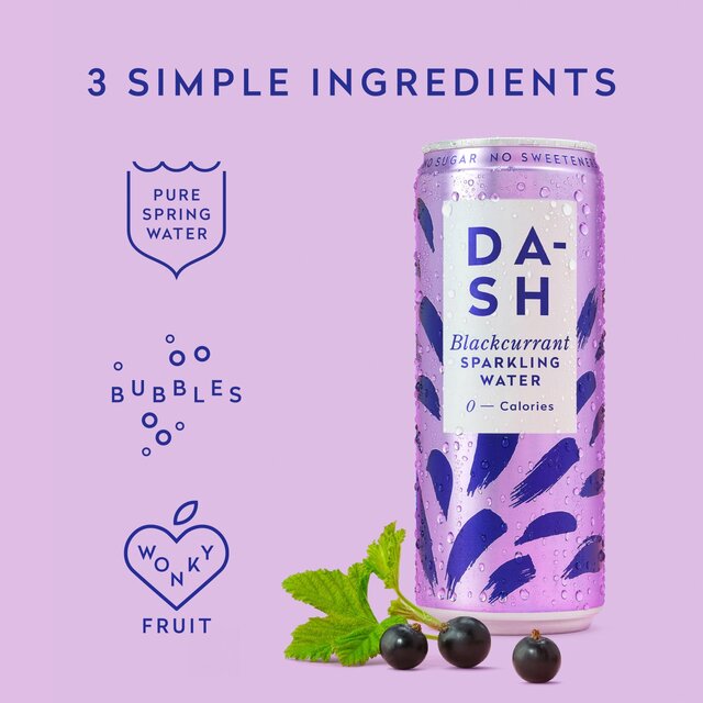 DASH Blackcurrant Infused Sparkling Water thumbnail 2