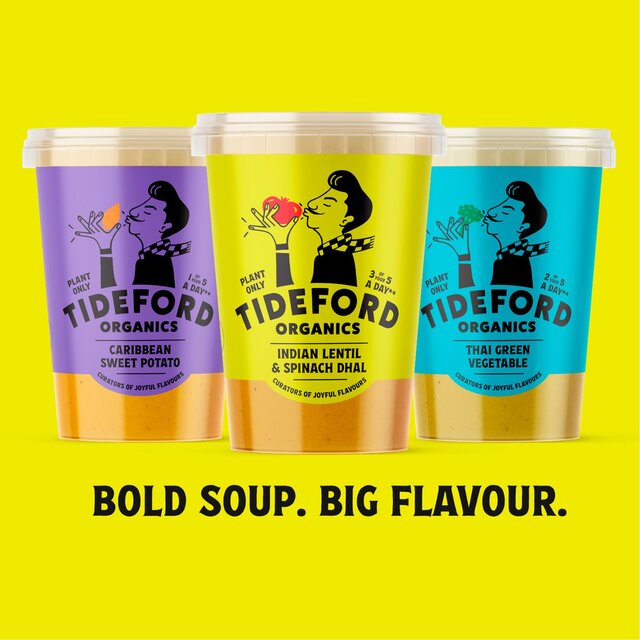 Tideford Organic Lentil & Spinach Dhal Soup thumbnail 4