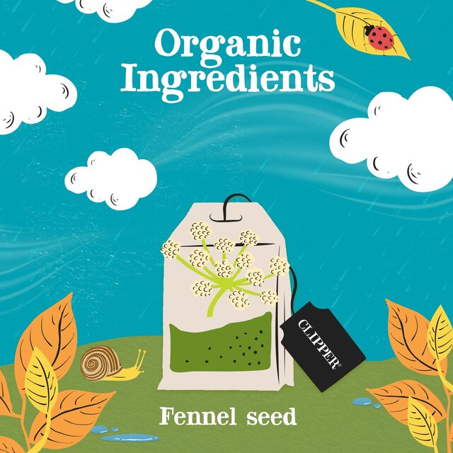 Clipper Organic Fennel Tea Bags thumbnail 8