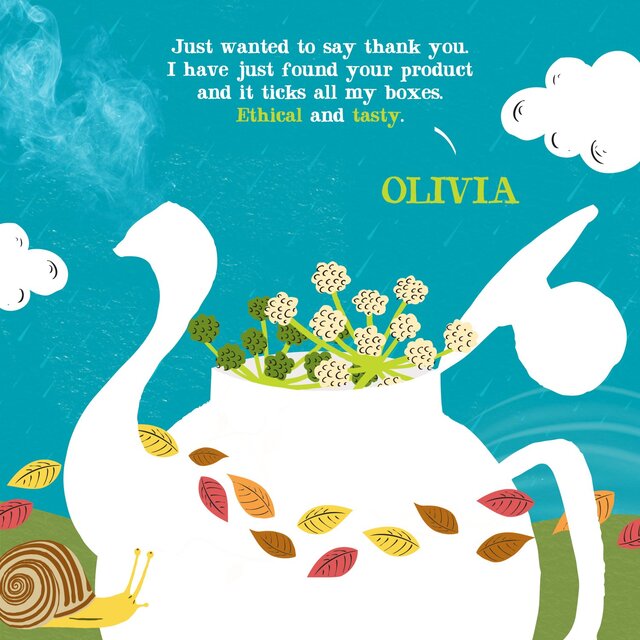 Clipper Organic Fennel Tea Bags thumbnail 9