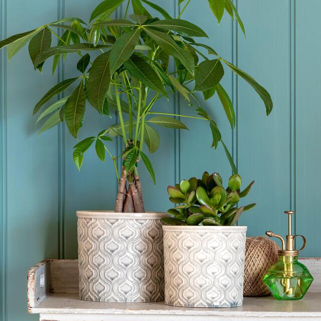 Burgon & Ball Venetian Plant Pot, Large 16cm thumbnail 3