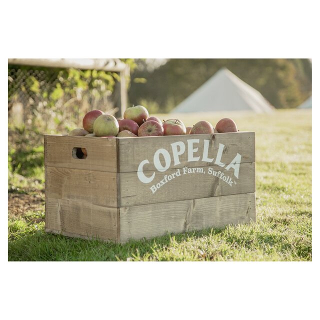 Copella Apple & Blackberry Fruit Juice thumbnail 2