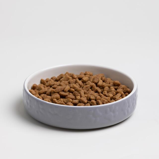 Mason Cash Colour Mix Grey Cat Saucer 13cm thumbnail 4