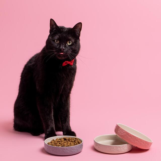 Mason Cash Colour Mix Grey Cat Saucer 13cm thumbnail 5