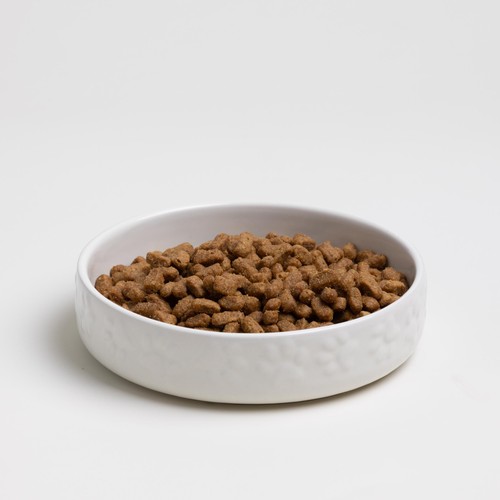 Mason Cash Colour Mix Cream Cat Saucer 13cm thumbnail 3