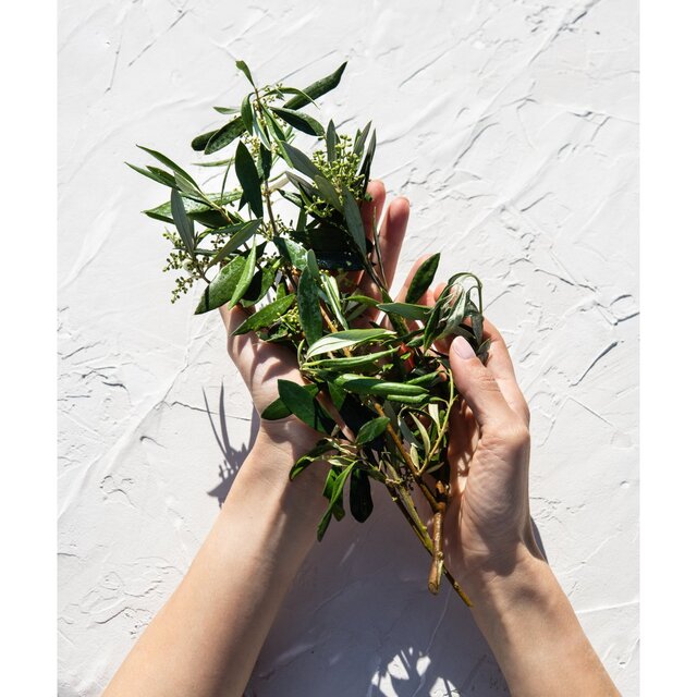 Korres Natural Pure Greek Olive Nourishing Conditioner, Dry & Damaged Hair thumbnail 5