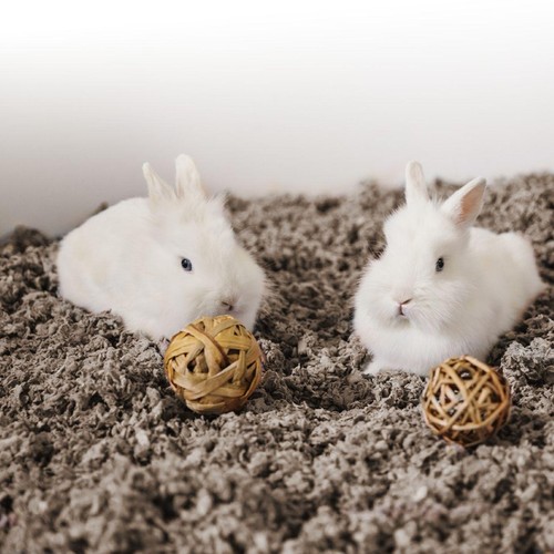 Carefresh Natural Small Pet Bedding thumbnail 4
