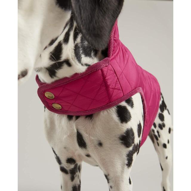 Joules Raspberry Quilted Coat Small thumbnail 3