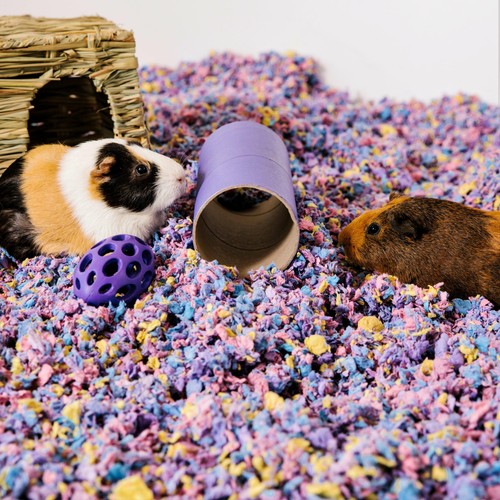 Carefresh Colours Confetti Small Pet Bedding thumbnail 4