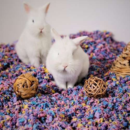 Carefresh Colours Confetti Small Pet Bedding thumbnail 5