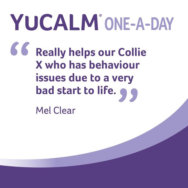 YuMOVE Chewies One a Day Dog Calming Supplement, Large Dog thumbnail 4