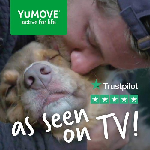 Yumove Chewies One a Day Dog Joint Supplement, Large Dog thumbnail 4