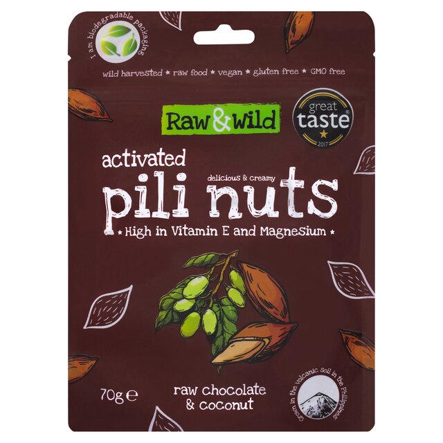 Raw & Wild Activated Pili Nuts Raw Chocolate & Coconut Organic