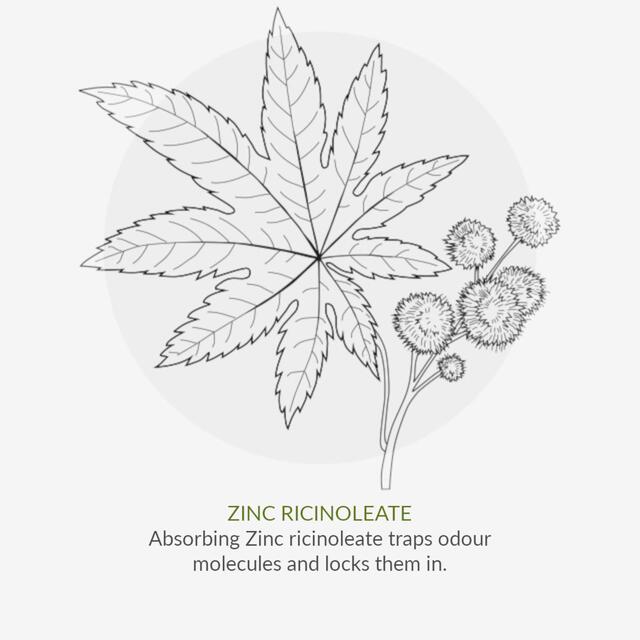 Green People Organic Men's Roll On Deodorant, Thyme & Prebiotics, Vegan thumbnail 7