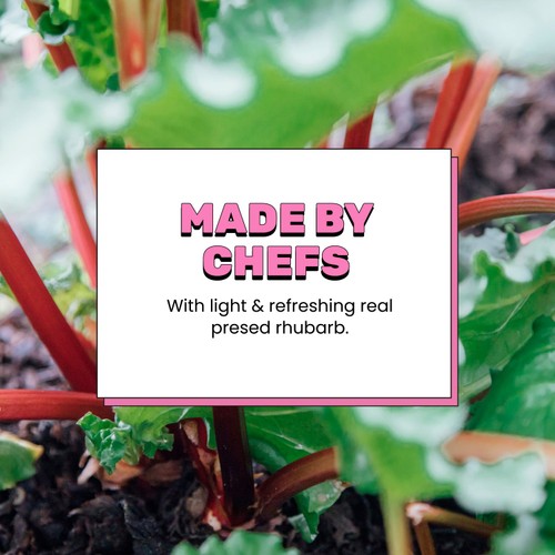 Dalston's Sparkling Rhubarb thumbnail 4