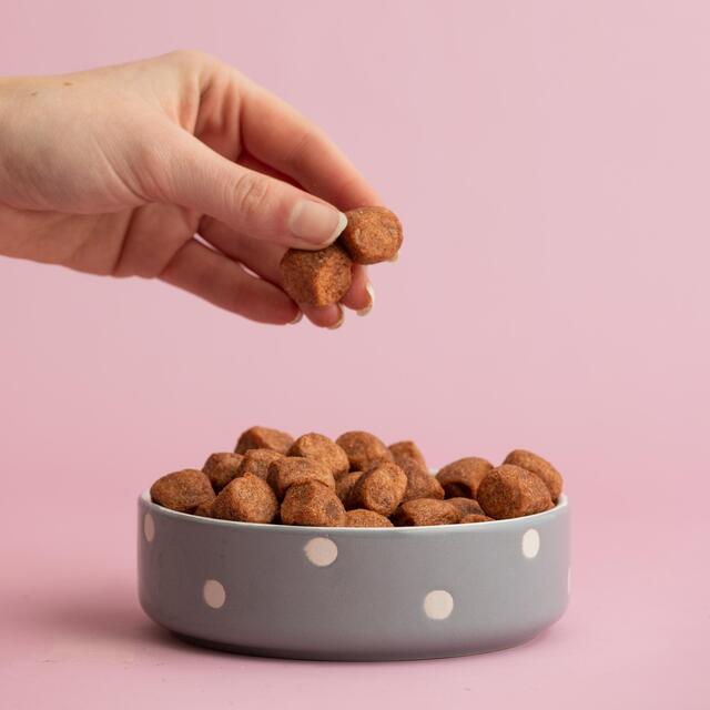 Mason Cash Polka Dot Grey 13cm Pet Bowl thumbnail 2