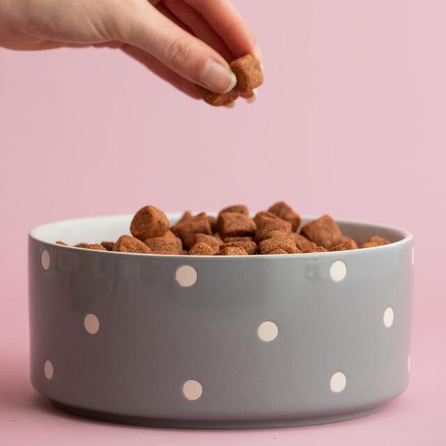 Mason Cash Polka Dot Grey 18cm Pet Bowl thumbnail 3