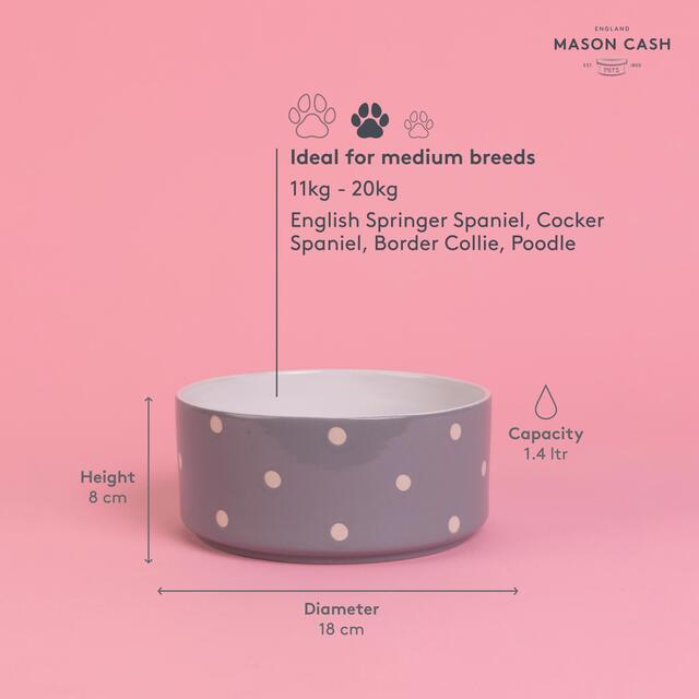 Mason Cash Polka Dot Grey 18cm Pet Bowl thumbnail 5