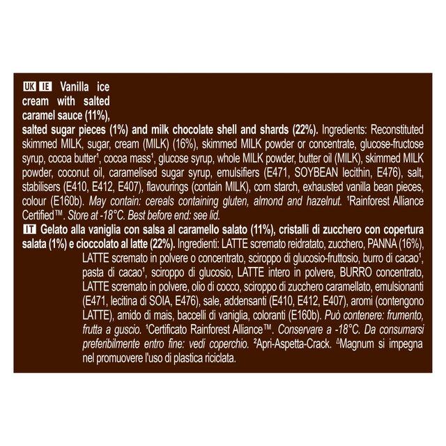 Magnum Double Salted Caramel Ice Cream Tub thumbnail 3