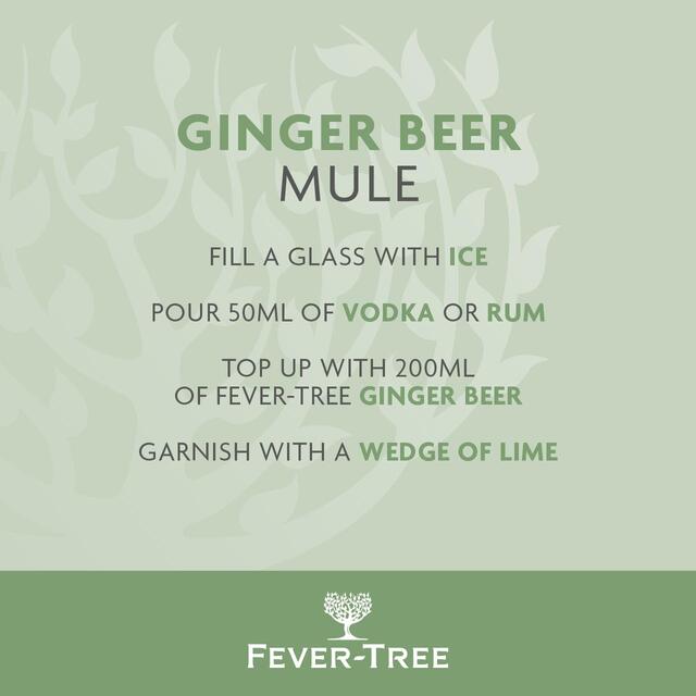 Fever-Tree Premium Ginger Beer thumbnail 4