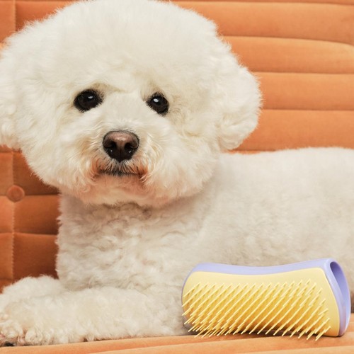 Pet Teezer Detangling Dog Grooming Brush Small - Lilac / Yellow thumbnail 7