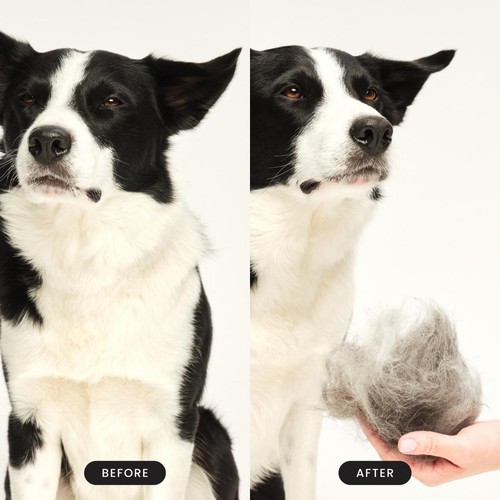 Pet Teezer De-shedding Dog Grooming Brush Small - Blue / Blue thumbnail 5