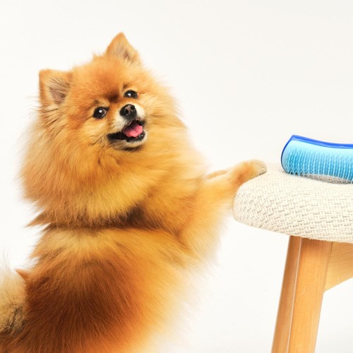 Pet Teezer De-shedding Dog Grooming Brush Small - Blue / Blue thumbnail 7