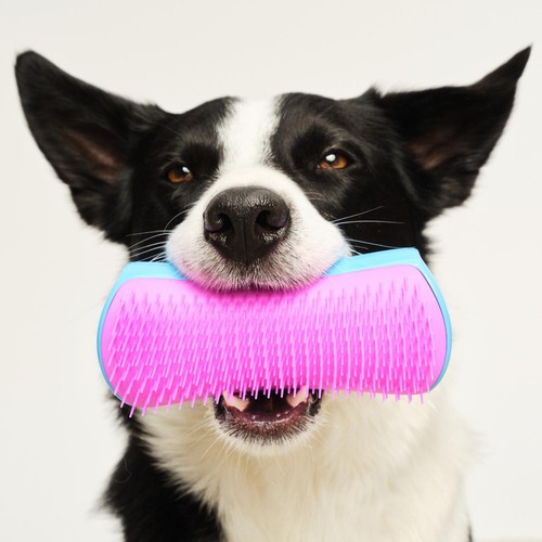 Pet Teezer De-shedding Dog Grooming Brush - Blue / Pink thumbnail 7