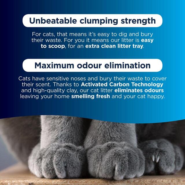 Ever Clean Clumping Cat Litter Litterfree Paws thumbnail 3
