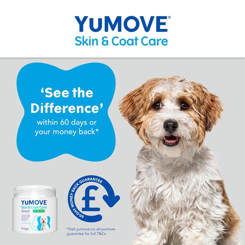 YuMOVE Boost  thumbnail 6