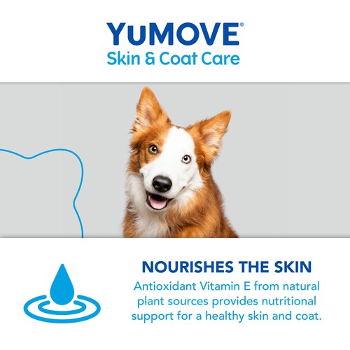 YuMOVE Moulting Dog thumbnail 5