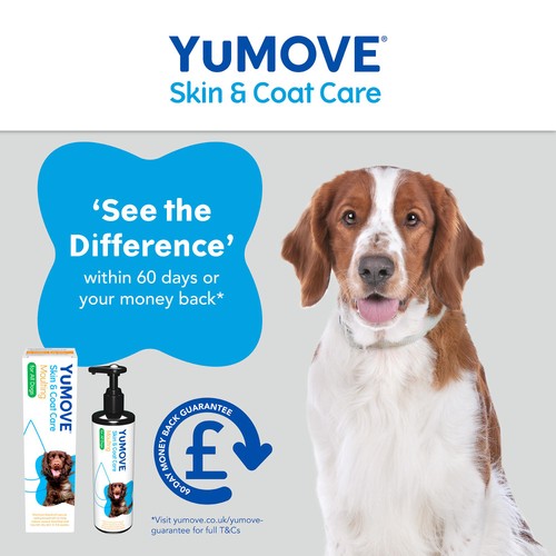 YuMOVE Moulting Dog thumbnail 10