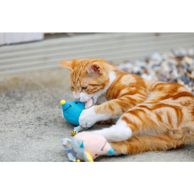 Little Petface Mouse Bell Kitten Toy thumbnail 6