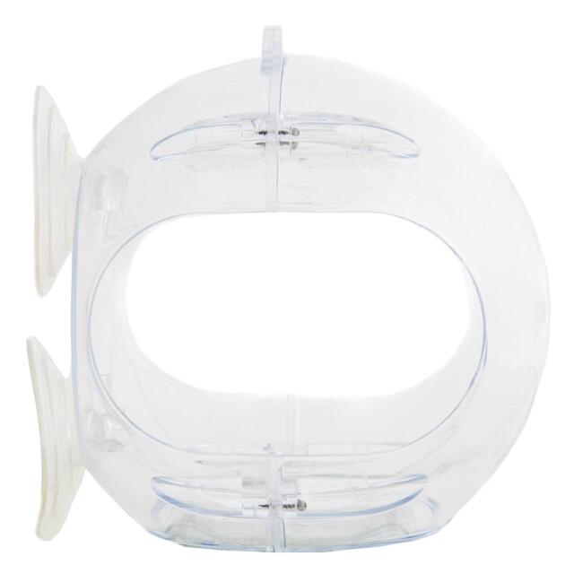 Peckish Globe Window Bird Feeder thumbnail 2