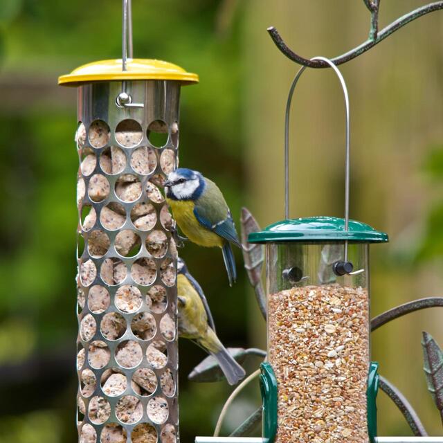 Peckish Extra Goodness Suet Nuggets For Wild Birds thumbnail 3