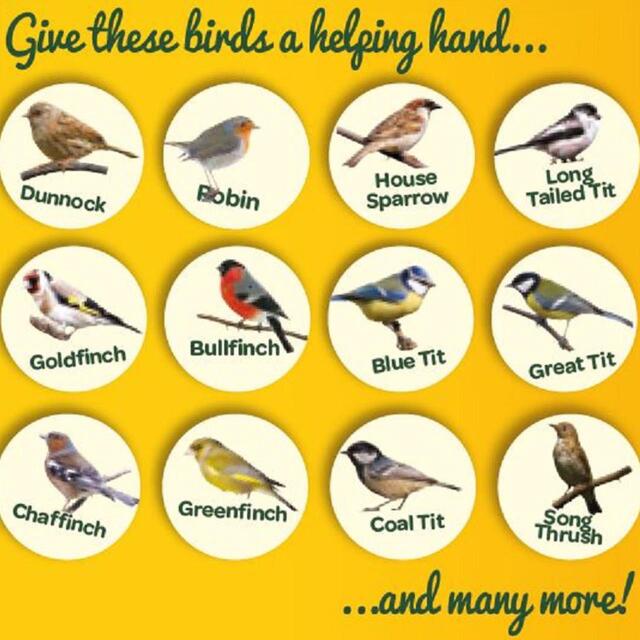 Peckish Extra Goodness Suet Nuggets For Wild Birds thumbnail 6