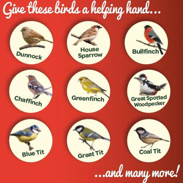 Peckish Peanuts For Wild Birds thumbnail 4