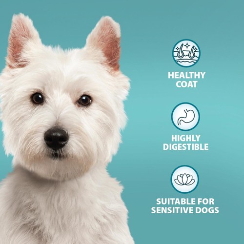 Burns Sensitive Adult Pork & Potato Dry Dog Food thumbnail 5