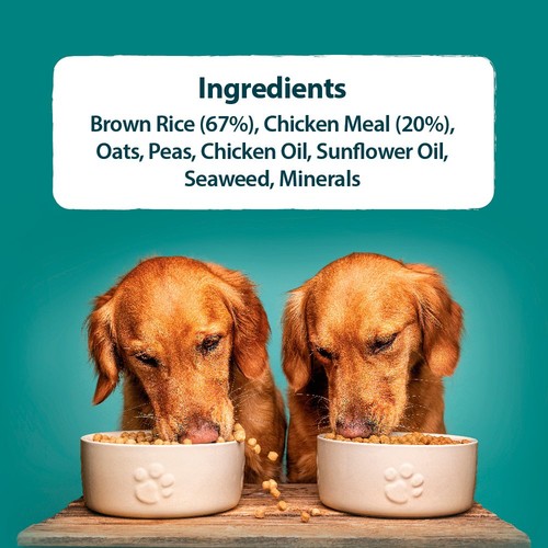 Burns Original Adult/Senior Chicken & Brown Rice Dry Dog Food thumbnail 2
