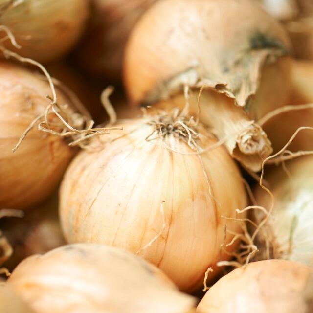 Daylesford Organic Brown Onions thumbnail 2