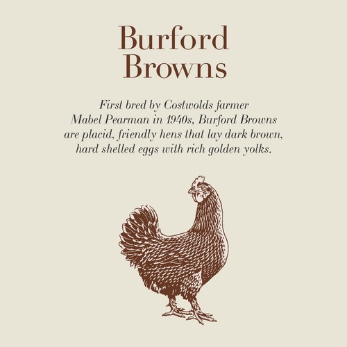 Clarence Court Burford Brown 10 Large Free Range Eggs thumbnail 2