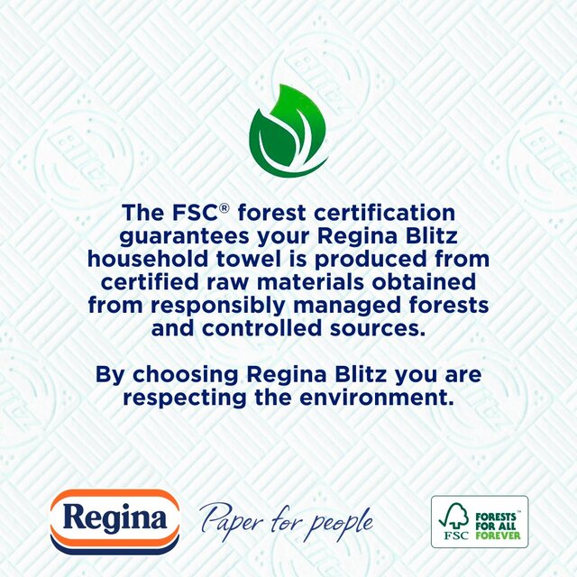 Regina Blitz Kitchen Roll 210 Supersized Sheets 3 Roll thumbnail 6