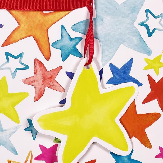 Painted Stars Large Gift Bag thumbnail 4