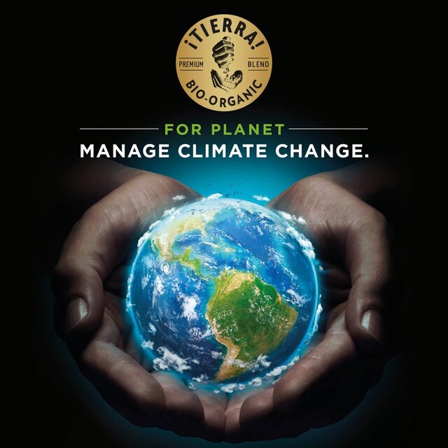 Lavazza Tierra Organic Coffee Beans thumbnail 6