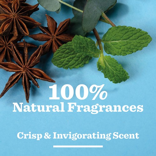 Bulldog Skincare - Peppermint & Eucalyptus Shower Gel thumbnail 2