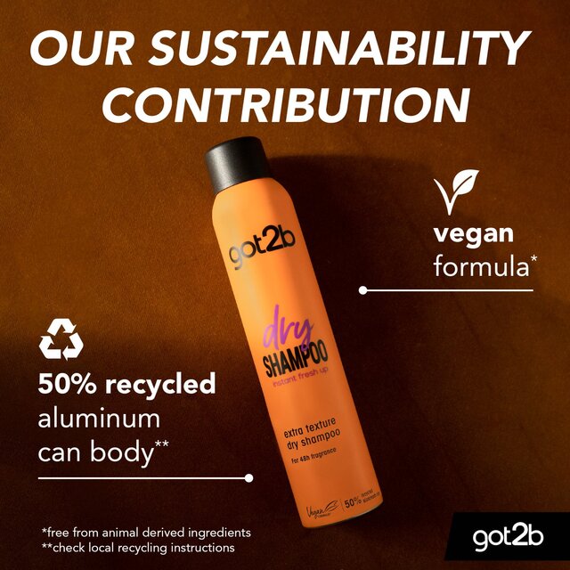 Schwarzkopf got2b Extra Texture Dry Shampoo thumbnail 5